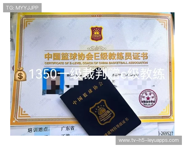 篮球培训与职业认证在中国政策支持下的发展状况，篮球训练证书培训考试