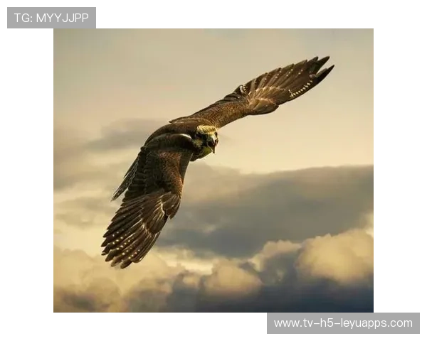 逆风奋战：有限的时间里到底发生了什么？，逆风奋进